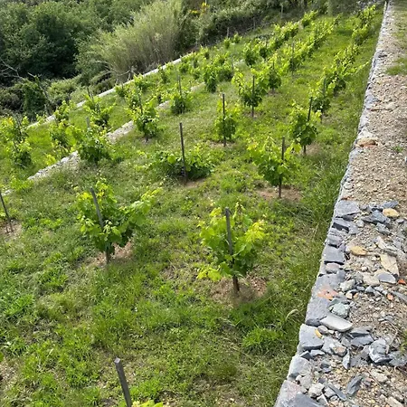Hébergement de vacances Valle Del Bosco, Acacia *
